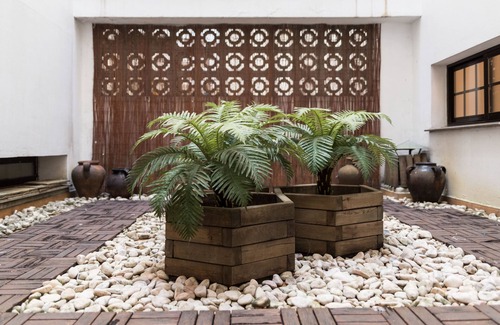 La Coruna Apartment | Fantastic cozy and charming downtown apartment