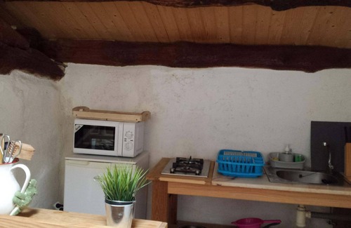 Manon Other | Farm Labrada - Accommodation between horses
