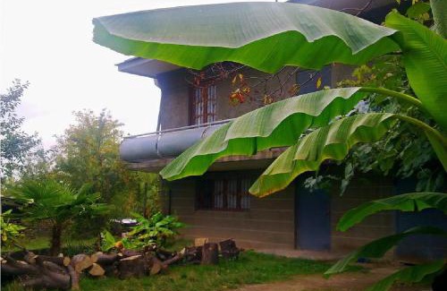 Telavi House | Farmer's Guest House