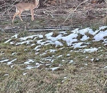 Johnson City House | Farmhouse with game room, fire pit and creek