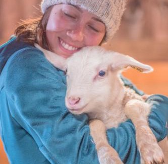 Hartland Four Corners House | Fat Sheep Farm & Cabins