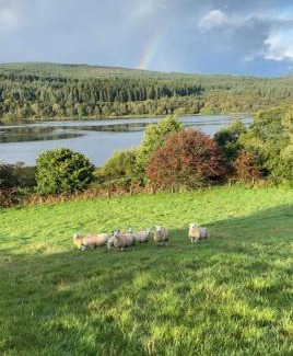 Saint John's Town of Dalry Ski Chalet | Fauld O Wheat Shepherds Hut , Loch Ken ,Off Grid