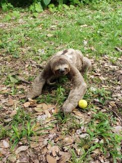 Ilha de Itamaraca House | FAZENDA BOSQUE DAs PALMEIRAS