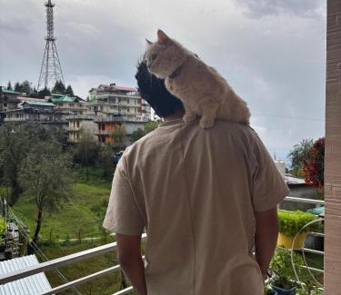 Naddi Apartment | Feel at Home Tranquil trails home stay naddi