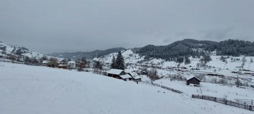 Stulpicani Villa | Feel Free House
