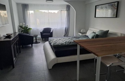 Boppelsen Apartment | Feel-good place - freshly renovated - quiet location - 20min from Zurich main station