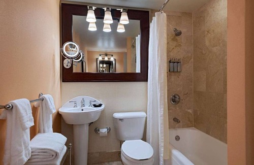 Downtown Austin Hotel | Feel Like Royalty! Pet-friendly Property, Swimming Pool, Near Lady Bird Lake!