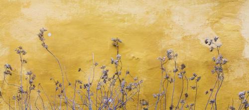 Navas Apartment | FELIP - Spacious and quiet apartments & one with Terrace