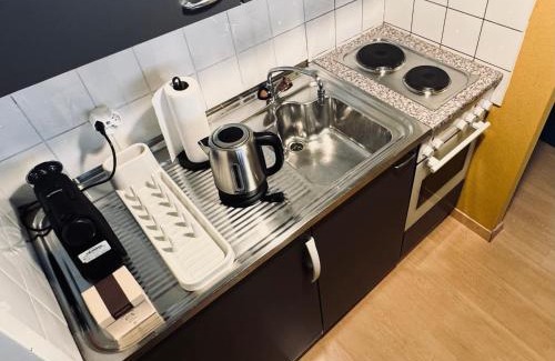 Breitenrain-Lorraine Apartment | Ferdinands Gateaway inkl Breakfast