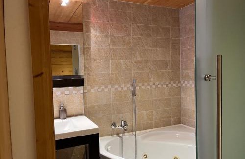 Zermatt Ski Chalet | Ferienapartement Hinterdorf