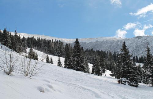 Frantschach-Sankt Gertraud Ski Chalet | Feriendorf Koralpe Chalet Arnika XL 28