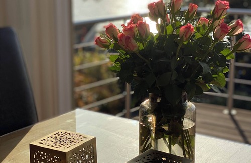 Ponitz am See House | Ferienh.,Max. 6 Pers. right on the lake and 3 km from the beach. Perfect location. WLAN Conne.