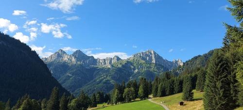 Weissenbach am Lech House | Ferienhaus Alpenglück