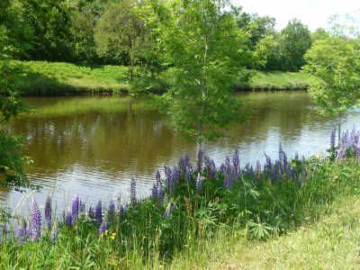 Haren Apartment | Ferienhaus Am Yachthafen - Pier 30, wunderschöne 2 Pers -Whg