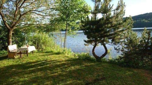 Frymburk House | Ferienhaus direkt am See mit Garten und Parkplatz
