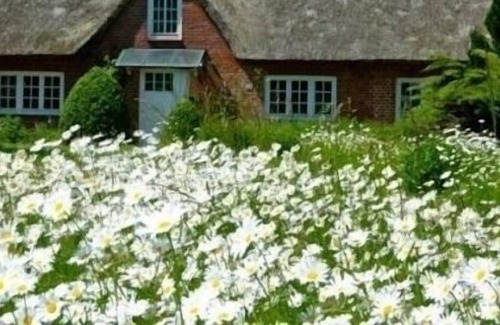 Riepsdorf House | Ferienhaus für 8 Gäste mit 140m² in Riepsdorf