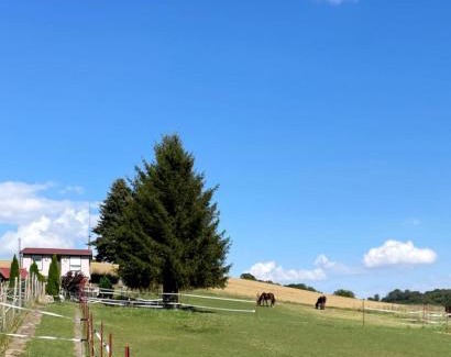 Pansfelde House | Ferienhaus Falkenblick