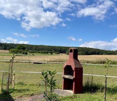 Pansfelde House | Ferienhaus Falkenblick