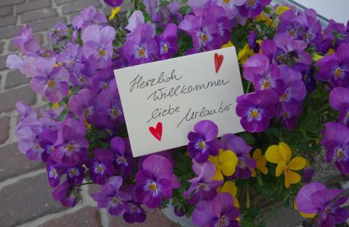 Borgerende House | Ferienhaus Karlin