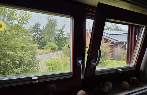 Twist House | Ferienhaus Pinto Béla in Twist