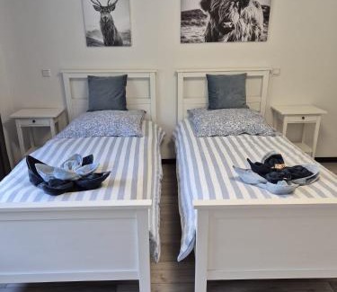 Dedenborn House | Ferienhaus Waldblick für max 10 Personen und 4 Hunde