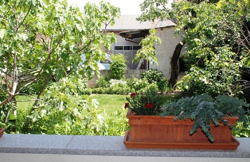 Gols Apartment | Ferienhof Weingut Lunzer