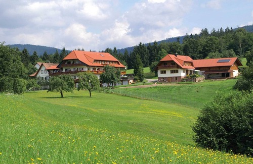 Bad Peterstal-Griesbach Apartment | Ferienwohnung mit ca. 57qm, für maximal 3 Personen (2 Erwachsene + 1 Kind)