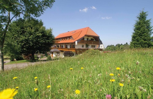 Bad Peterstal-Griesbach Apartment | Ferienwohnung mit ca. 57qm, für maximal 3 Personen (2 Erwachsene + 1 Kind)