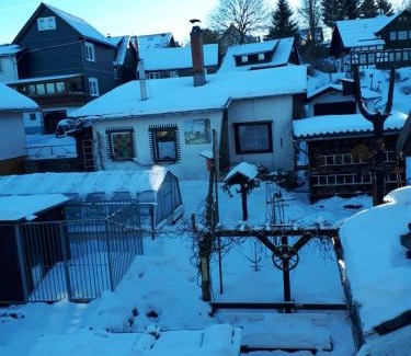 Schmiedefeld am Rennsteig Apartment | Ferienwohnung Kupfer