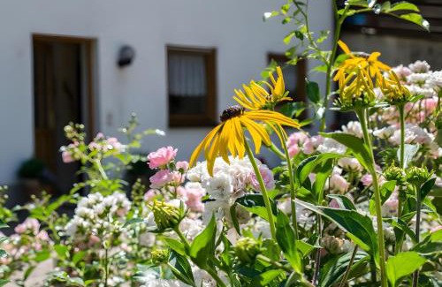 Bad Peterstal-Griesbach Apartment | Ferienwohnung Vergissmeinnicht