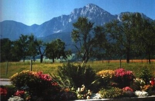 Anger Apartment | Ferienwohnung 32 m², 3 Sterne, Wohn-/Schlafraum, Küche, Dusche/WC, Balkon, Kabel-TV, WLAN, max. 2 Personen, max. 2 Hunde