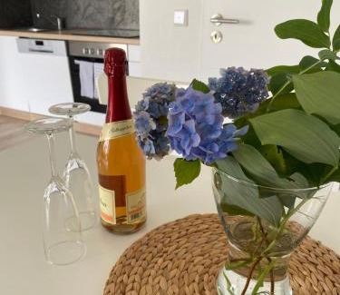 Siedlinghausen Apartment | Ferienwohnung Allenberg-Panorama