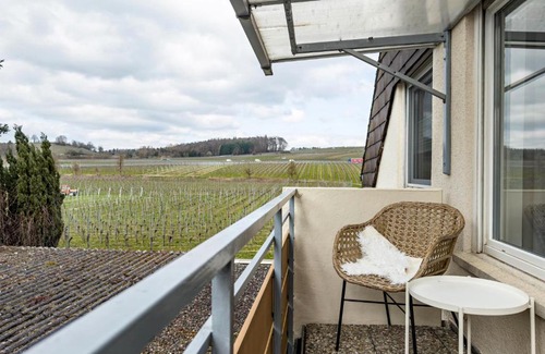 Hagnau House | Ferienwohnung am Bächler