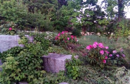 Cham Apartment | Ferienwohnung am Bühl