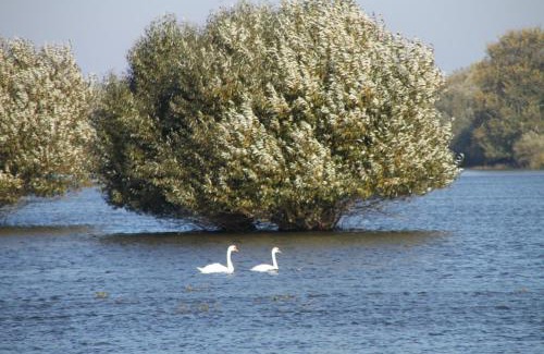 Bleckede Apartment | Ferienwohnung am Elbdeich