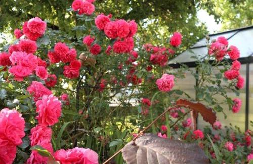 Koblach Apartment | Ferienwohnung am Rhein