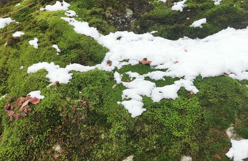 Grossdorf Apartment | Ferienwohnung an der Alten Säge