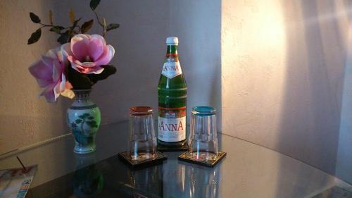 Greiz Apartment | Ferienwohnung Anna