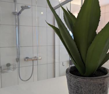 Lauterach Apartment | Ferienwohnung Apimundi