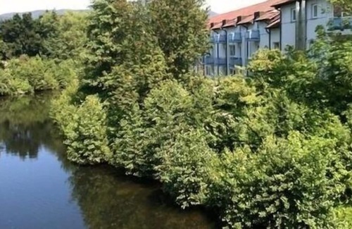 Kotzting Apartment | Ferienwohnung/app. für 2 Gäste mit 45m² in Bad Kötzting