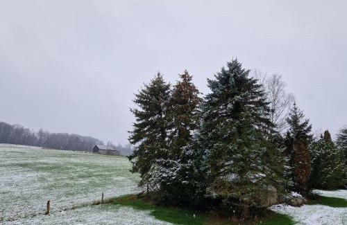 Moehnesee Apartment | Ferienwohnung Arnsberger Wald