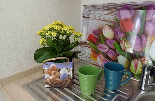Untermunstertal Apartment | Ferienwohnung Belchenblick, 45qm, 1 Schlafzimmer, max. 2 Personen