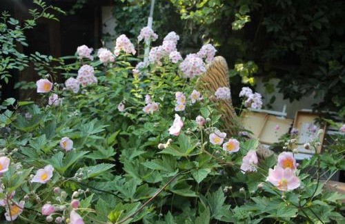 Diessen am Ammersee Apartment | Ferienwohnung am Walnussbaum