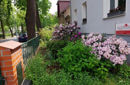 Koenigs Wusterhausen Apartment | Ferienwohnung Heil - Königs Wusterhausen