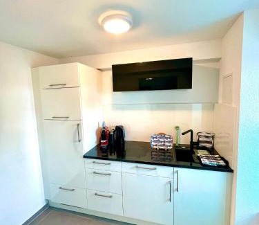 Berlingen Apartment | Ferienwohnung direkt am Bodensee/Untersee nahe Konstanz