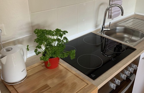 Toster Apartment | Ferienwohnung Drachennest