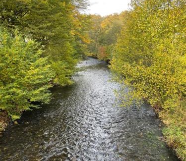 Nuttlar Apartment | Ferienwohnung Emma