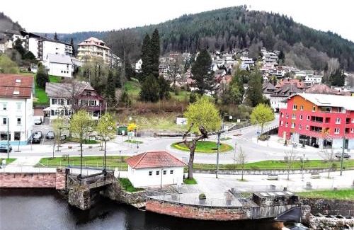 Bad Wildbad Apartment | Ferienwohnung Enzblick