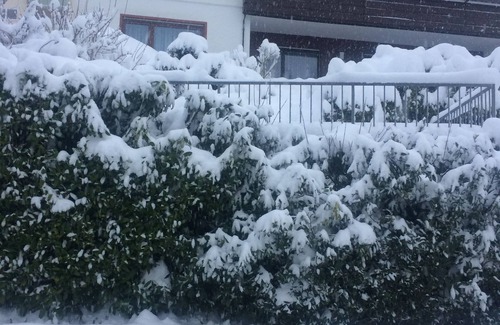 Baiersbronn Condo | Ferienwohnung für die Ganze Familie