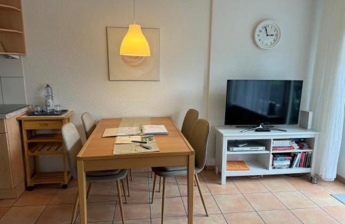 Hoechenschwand Apartment | Ferienwohnung Francois